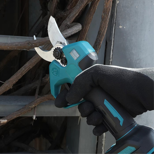 PRO ELEKTRISKE SAKSE