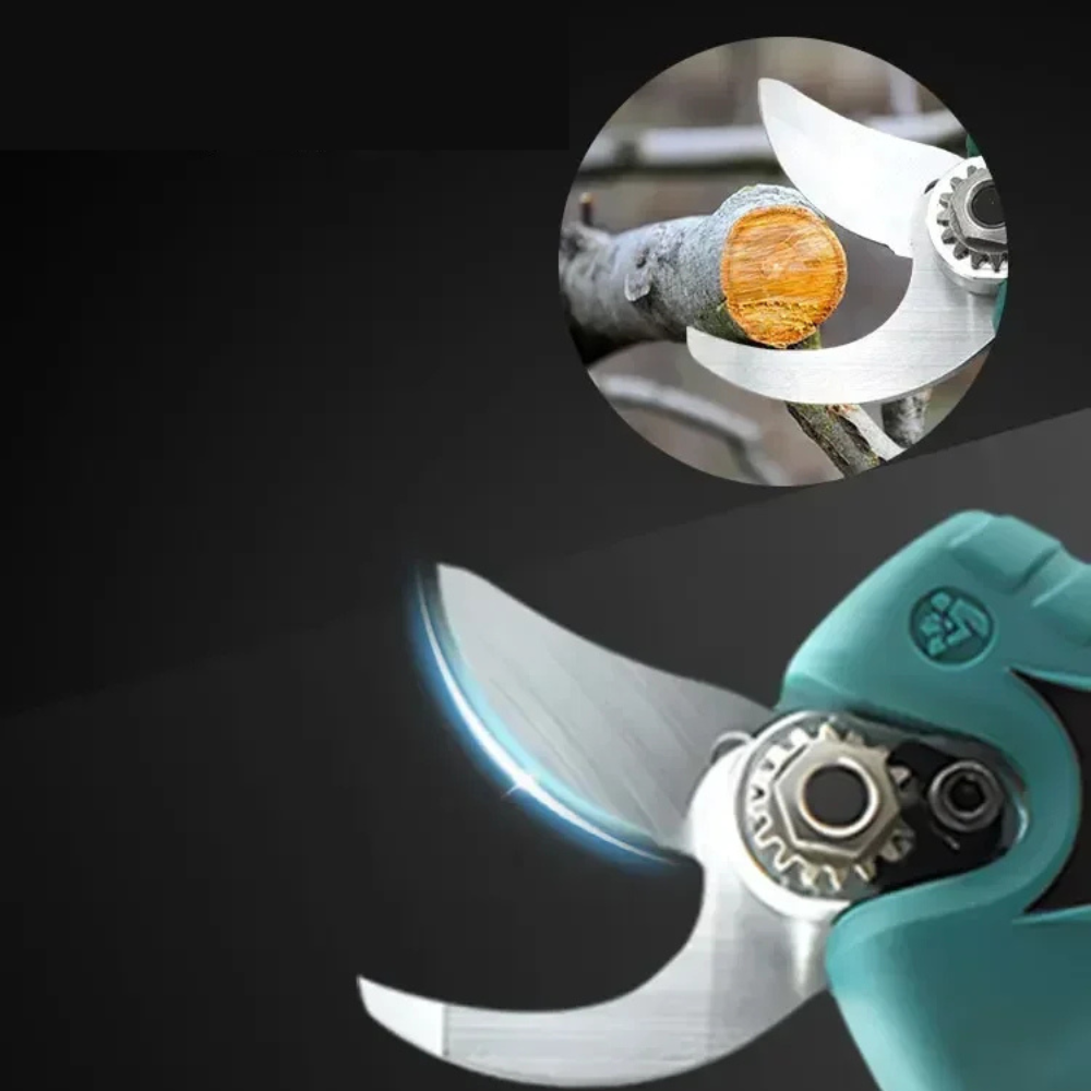 PRO ELEKTRISKE SAKSE